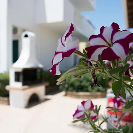 Chandris Aparthotel Kávos