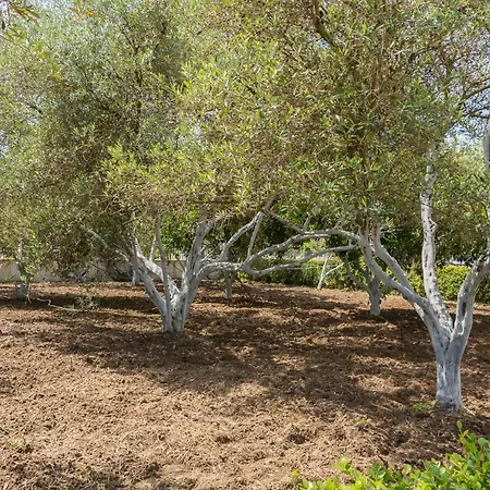 Chandris 公寓式酒店